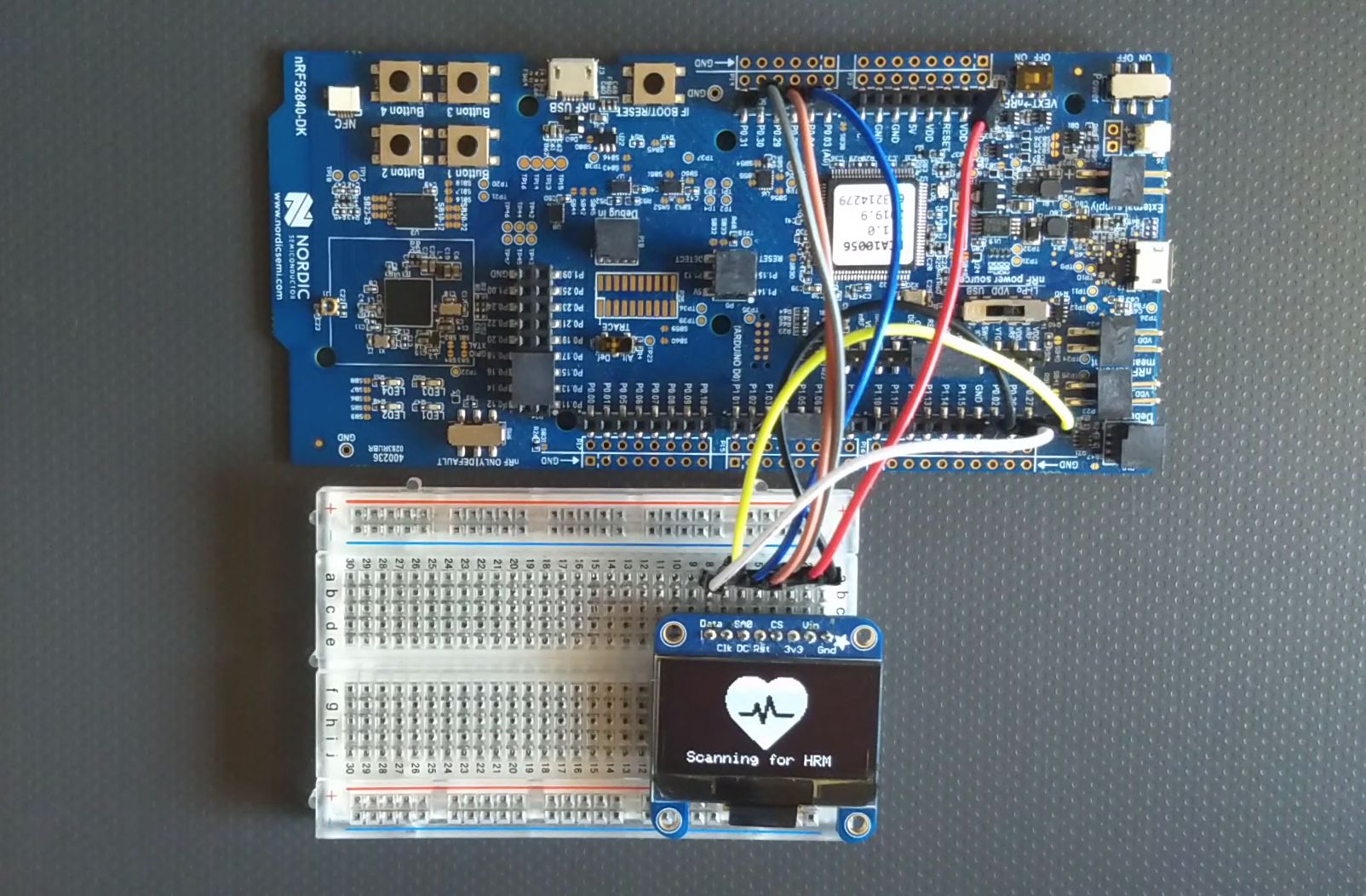 Nordic nRF52840 Heart Rate Monitor